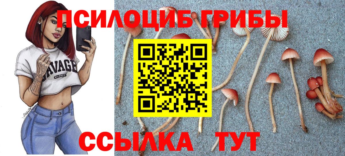Миллерово  Псилоцибиновые грибы мицелий  Галлюциногенные грибы мухоморы  Вход с VPN 